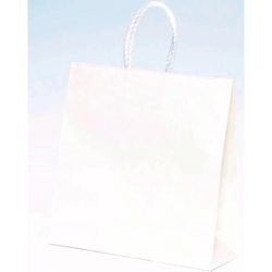 紙手提袋 ST3才 白無地 パックタケヤマ