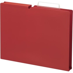 個別フォルダー＜ＮＥＯＳ＞Ａ４　３０ｍｍ赤　１０冊