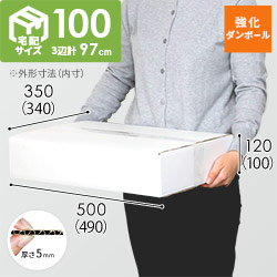 【宅配100サイズ】強化材質 ダンボール箱 （白・薄型・490×340×100mm)