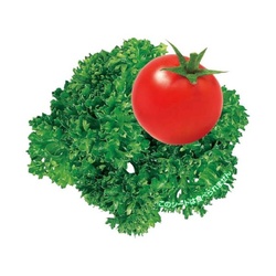 ユニバース フィルムシート グルメシート パセリトマト 表示入 丸