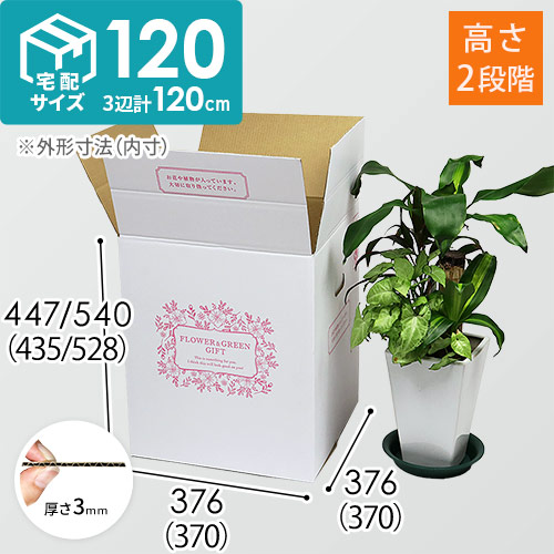 商品（外寸）