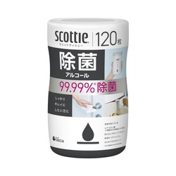 スコッティ　ウェット　除菌　アル　本体　１２０枚