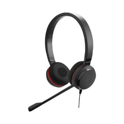 ＥＶＯＬＶＥ３０　ＭＳＳｔｅｒｅｏ