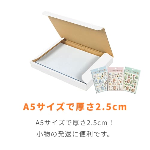 クロネコゆうパケット・クリックポスト・ゆうパケット】厚さ2.5cm・N式