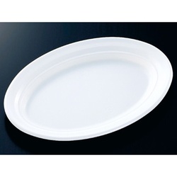 中央化学 軽食容器 CT 沙楽 M24-16 W 本体