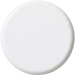 両面強力カラーマグネット　２５ｍｍ　白　１０個入
