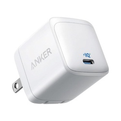 ３１３　Ｃｈａｒｇｅｒ　（Ａｃｅ，　４５Ｗ）