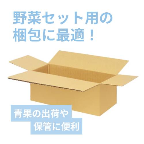 野菜セット用】宅配100サイズ・ダンボール箱（560×240×160mm