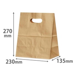 パックタケヤマ 紙手提袋 イーグリップ LL 茶無地