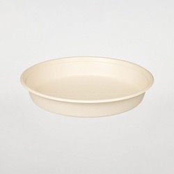 パックスタイル バガス容器 BB丸桶 3 ラミ 283φ×45H