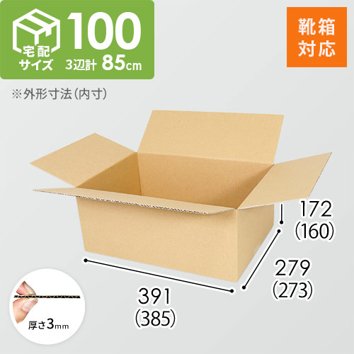 靴用】宅配100サイズ・ダンボール箱（385×273×160mm） | ダンボール