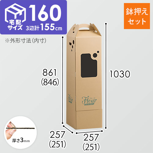 フラワー発送 BOX（鉢押えセット・251×251×846mm）【宅配160サイズ】