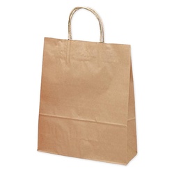 持ち帰り用紙袋 50-5101 手提げ袋 未晒 260×100×310 50P ササガワ