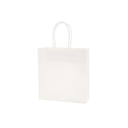 【廃番商品】スムースバッグ 22-06 白無地