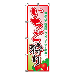 いちご狩り（苺）  