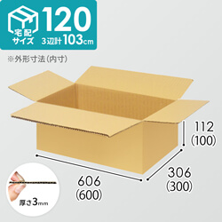 【宅配120サイズ】ダンボール箱（600×300×100mm）3mm B/F C5×C5