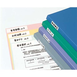 タックタイトルはがせるタイプ無地　１９×８０ｍｍ