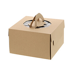 【廃番商品】ネオクラフト キャリーデコＢＯＸ Ｍ