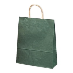 持ち帰り用紙袋 50-5108 手提げ袋 エメラルド 260×100×310 50P ササガワ