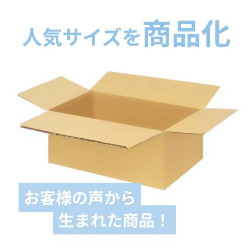 宅配120サイズ】ダンボール箱(580×420×100mm) 3mm B/F C5×C5