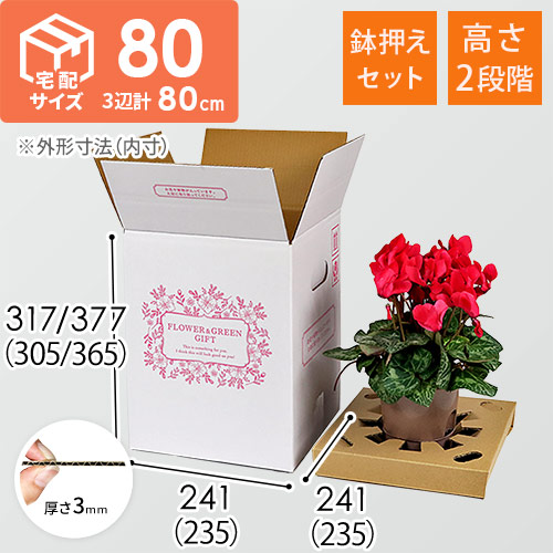 フラワーギフト 発送BOX（鉢押えセット）【宅配80サイズ