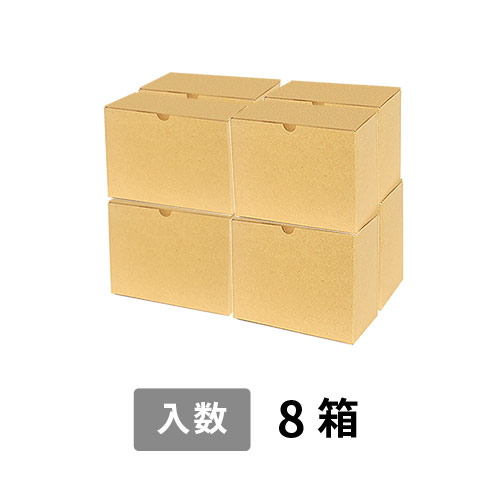 宅配100サイズ】小箱ぴったり梱包用ダンボール箱［WE-44・8箱