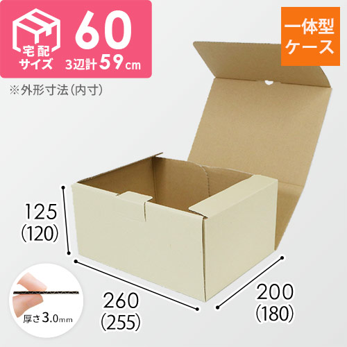 サイズ(開けた状態)