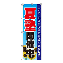 夏塾開催中
