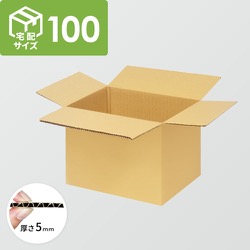 【宅配100サイズ】ダンボール箱（300×300×250mm）5mm A/F K5×K5