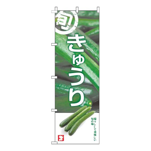 きゅうり写真白