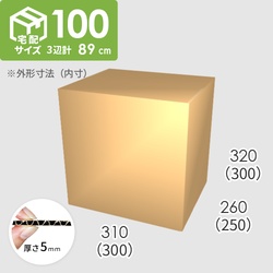【宅配100サイズ】ダンボール箱(300×250×300) 5mm A/F K5×K5