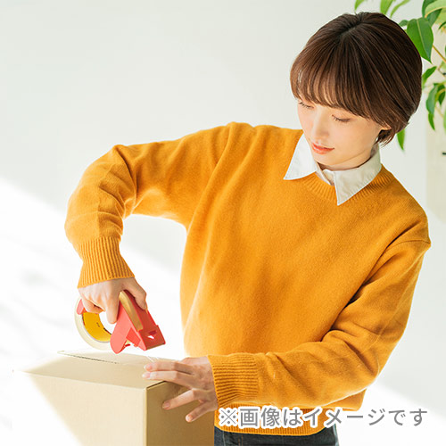展開時