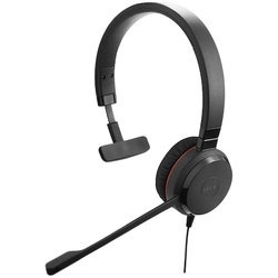 ＥＶＯＬＶＥ　３０　ＩＩ　ＭＳ　Ｍｏｎｏ
