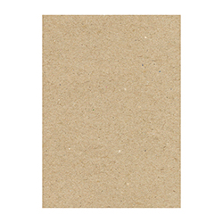 ボーガスペーパー 538×382