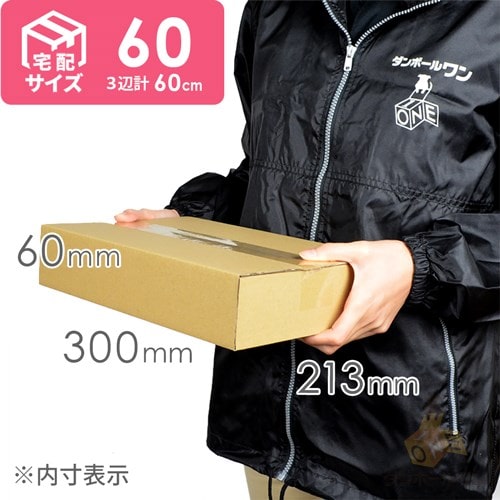 サイズ