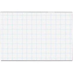 名刺型名札５０×７５ｍｍピン・クリップ両用型１０個