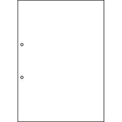 マルチプリンタ帳票　Ａ４　白紙　２穴１００枚