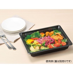 リスパック サラダ容器 バイオカップ キューブNK 50-45B 本体