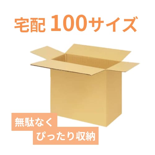 宅配100サイズ】ダンボール箱（300×200×300mm）3mm B/F C5×C5