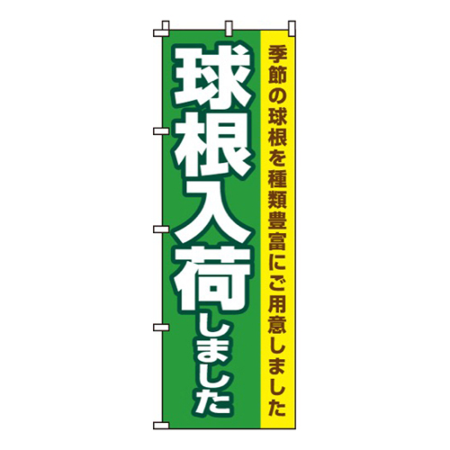 球根入荷しました