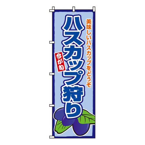 ハスカップ狩り