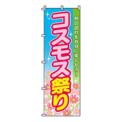 コスモス祭り