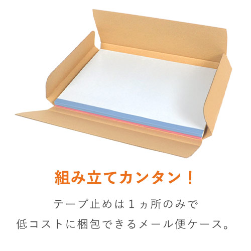 ネコポス・クリックポスト】厚さ2.5cm・ヤッコ型ケース（A4サイズ