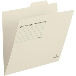 個別フォルダーＦＬ００１ＩＦ　Ａ４　ＬＧ　１０枚