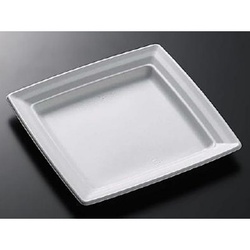 中央化学 軽食容器 CT 沙楽 K23-23 W 本体