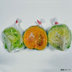 鮮度保持袋 オーラパック少量カット規格品 ベルグリーンワイズ