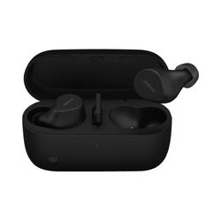 Ｅｖｏｌｖｅ２　Ｂｕｄｓ　ＵＳＢ−Ａ　ＭＳ