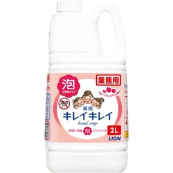 キレイキレイ薬用泡ハンドソープフルーツＭ業務用２Ｌ