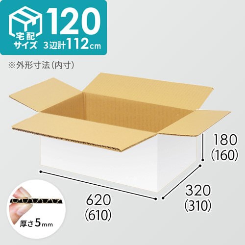 【宅配120サイズ】小箱ぴったり梱包用ダンボール箱［SBOX-02・8箱］（610×310×160mm）5mm A/F 白C5×C5