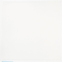 焼き・蒸し用シート グラシン剥離紙390×390 福重